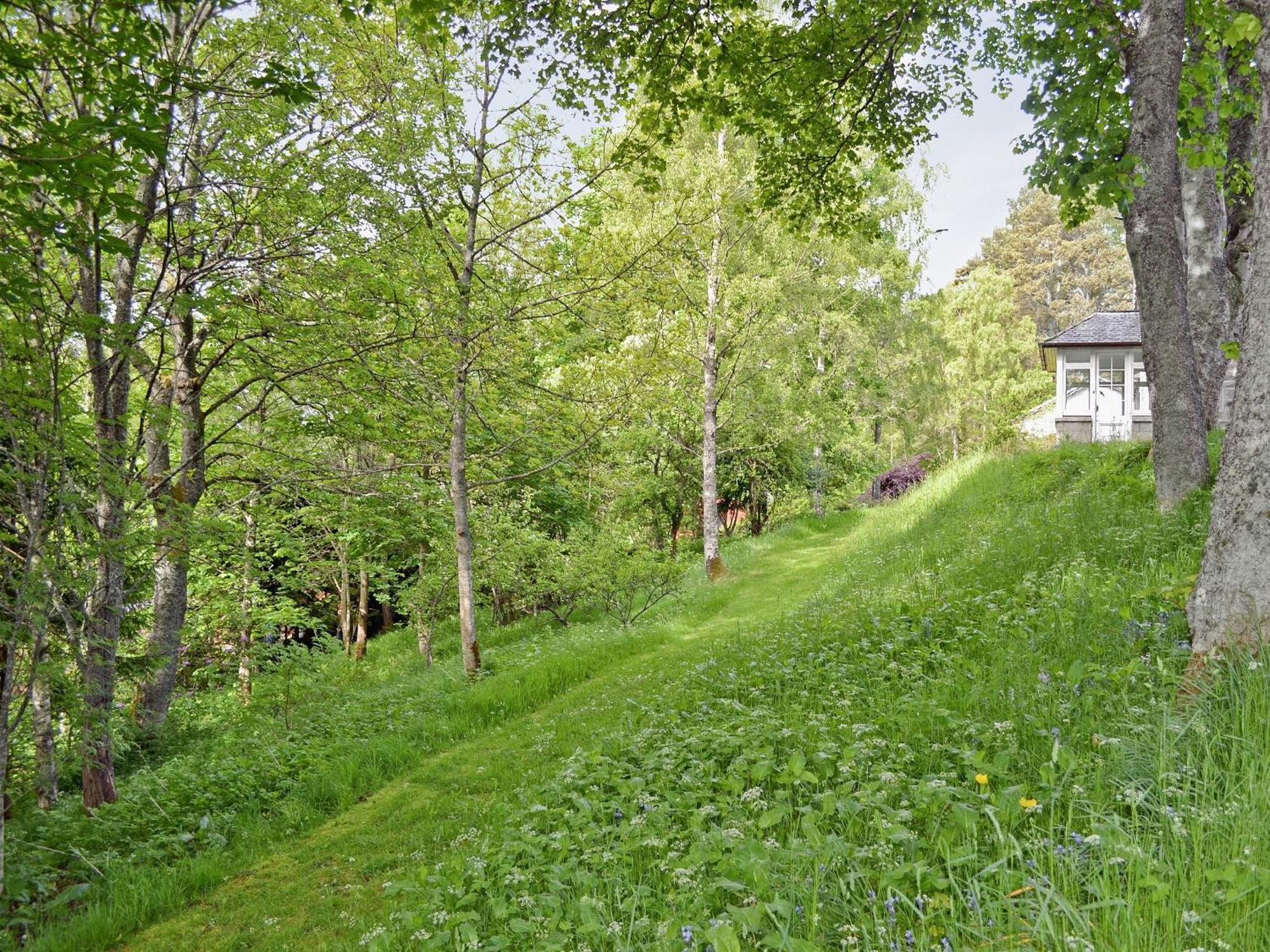 Treetops Newtonmore Eksteriør bilde